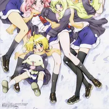 Girls Bravo: First Season