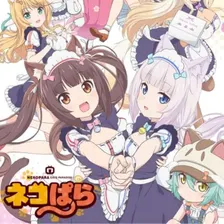 Nekopara (TV)