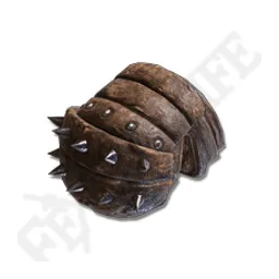 Spiked Caestus