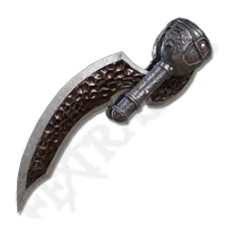 Veteran's Prosthesis