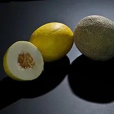 Melon