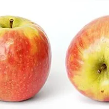 Green Apple