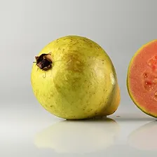 Guava