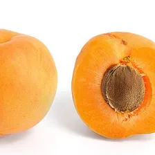 Apricot