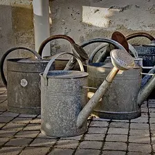 Watering plants
