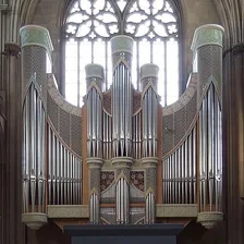 Organ