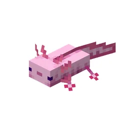 Axolotl