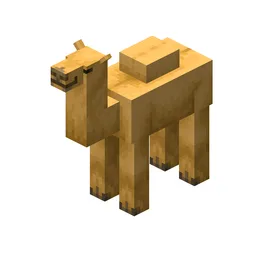 Camel