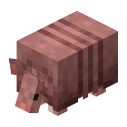 Armadillo