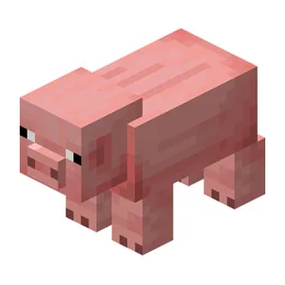Pig
