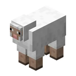 Sheep