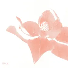 Beck
