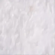 Caribou