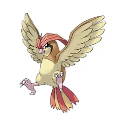 Pidgeotto