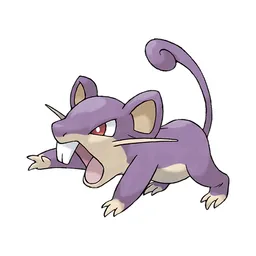 Rattata