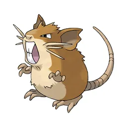 Raticate