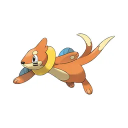 Buizel