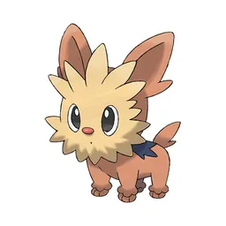 Lillipup