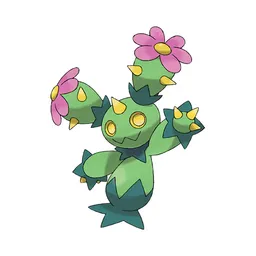 Maractus