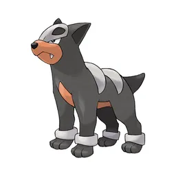 Houndour