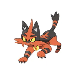 Torracat