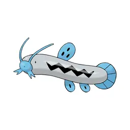 Barboach
