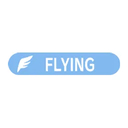 Flying