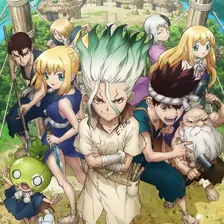 Dr. Stone