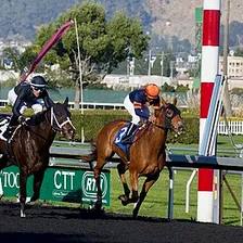 Horse Racing