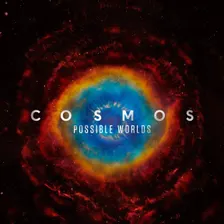 Cosmos